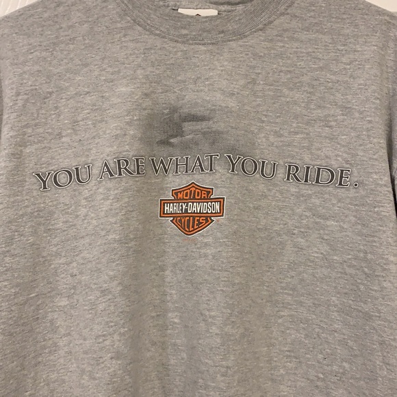Harley-Davidson Grey "You Are What You Ride" Graphic Tee with Back Design - Picture 3 of 6